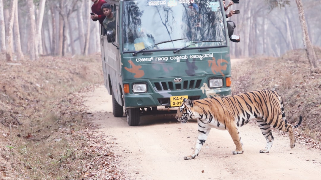 Seizure of Tigers and Narcotics: Major Blow to Cartel Operations in D.C.
