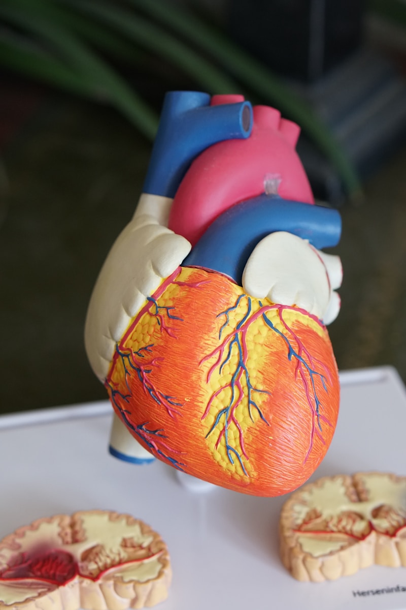 UK Biobank Study Identifies 50 New Genetic Markers for Heart Disease